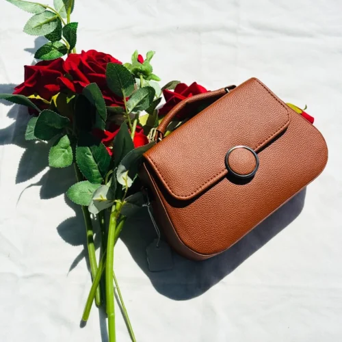 Stylish Mini Sling Bag for Ladies - Day Dream Bags