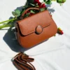 Stylish Mini Sling Bag for Ladies - Day Dream Bags