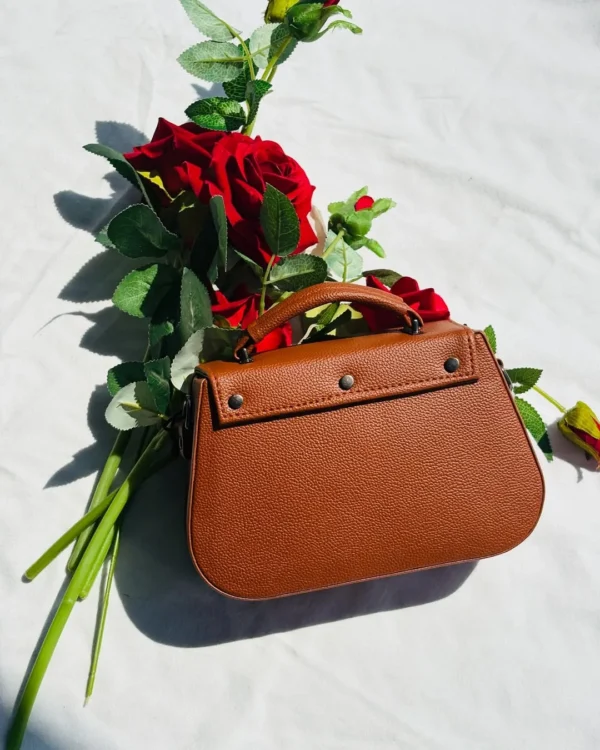 Stylish Mini Sling Bag for Ladies Stylish Mini Sling Bag for Ladies - Day Dream Bags